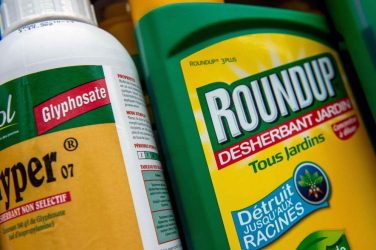 "Le glyphosate n'est pas cancérigène" a déclaré l'Agence Européenne des produits chimiques