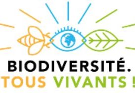 Consultation participative "Plan Biodiversité" !