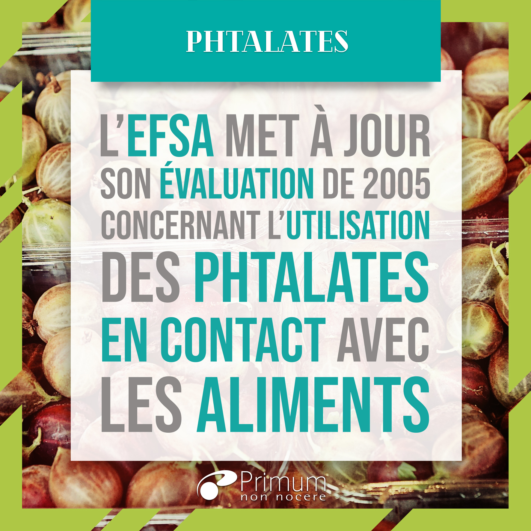 évaluation EFSA phtalates en contact avec aliments