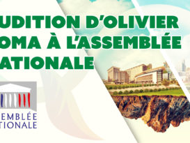 audition olivier toma assemblée nationale commission santé environnementale